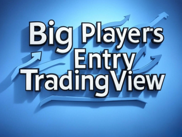 Big Players Entry TradingView
